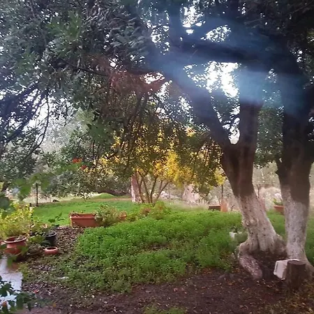 Relax Life_peloponisos *